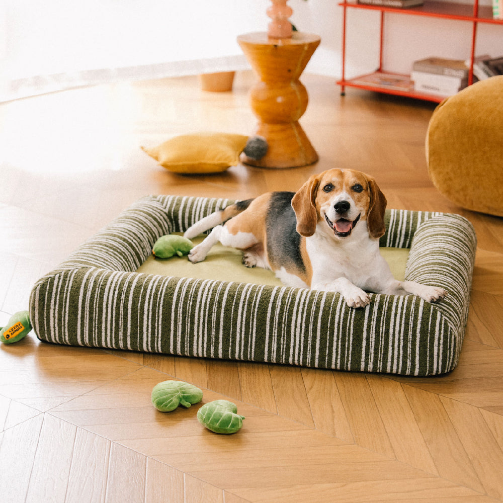 Lit Orthopédique Rayé Toutes Saisons pour Chien | Base Gaufrée, Rebords Bolster, Lavable, Antidérapant