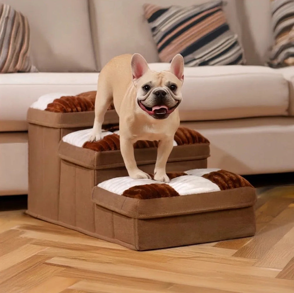 Chien montant l'escalier orthopédique, soutien articulaire