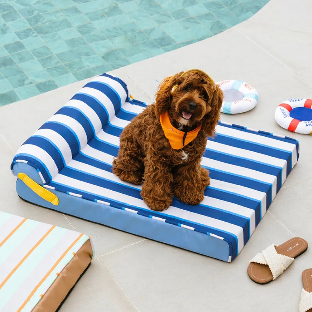 Lit Orthopédique Rafraîchissant pour Chien | Effet Cool-Touch, Mousse de Soutien, Lavable, Toutes Tailles