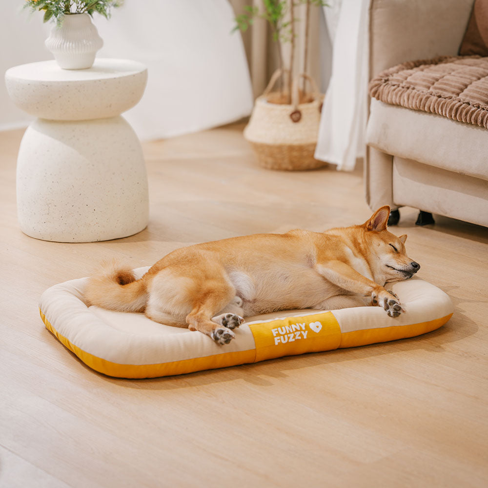 Tapis Orthopédique Résistant pour Chien | Oxford Anti-Déchirure, Réversible, Mémoire de Forme, Toutes Tailles