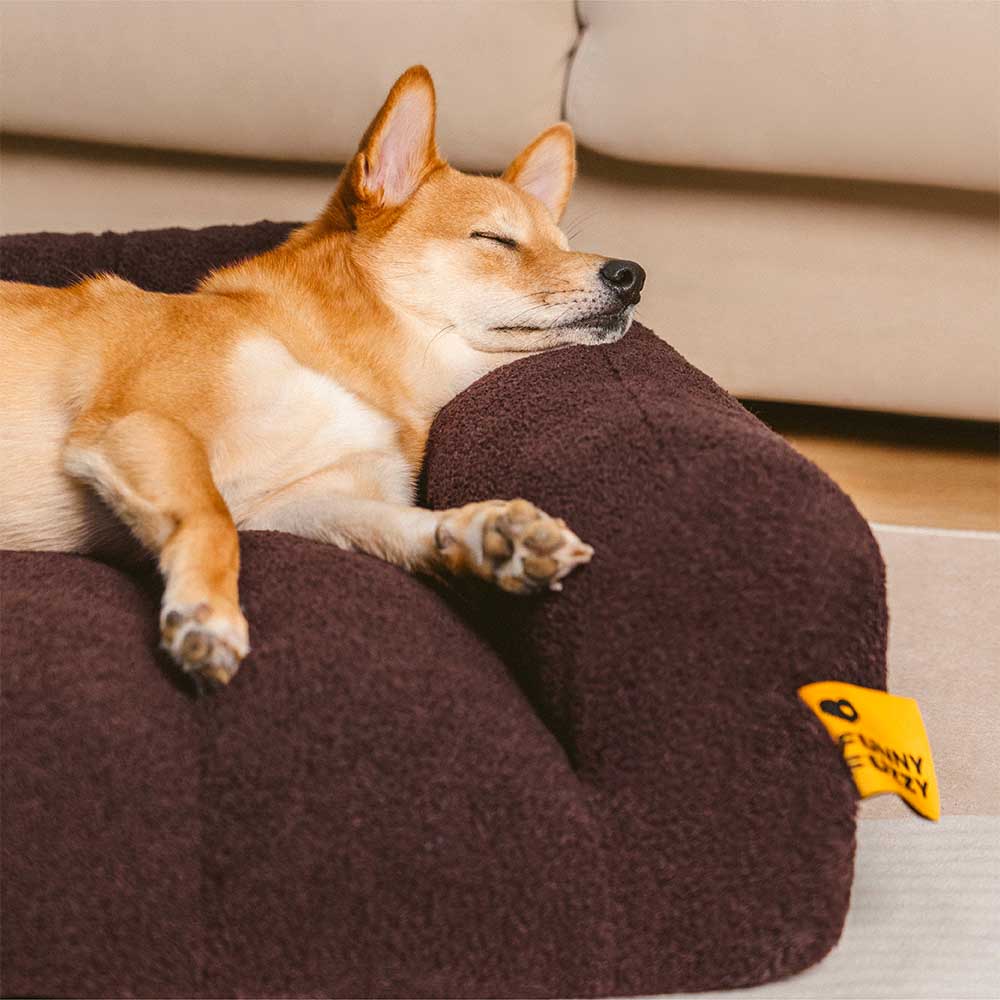 Grand Sofa Double Appui-Tête Orthopédique pour Chien | Bolster & Dossier, Teddy Fleece, Chaud