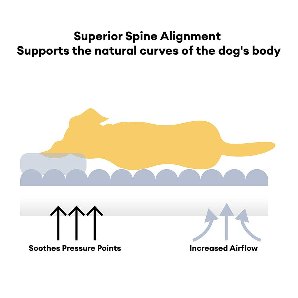 Grand Sofa Double Appui-Tête Orthopédique pour Chien | Bolster & Dossier, Teddy Fleece, Chaud
