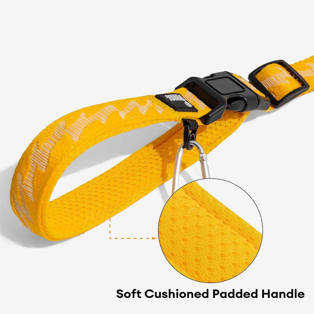 Laisse Réfléchissante Double Face pour Chien | Poignée Souple, Nylon Réglable, Grand Chien, Sécurité Nocturne