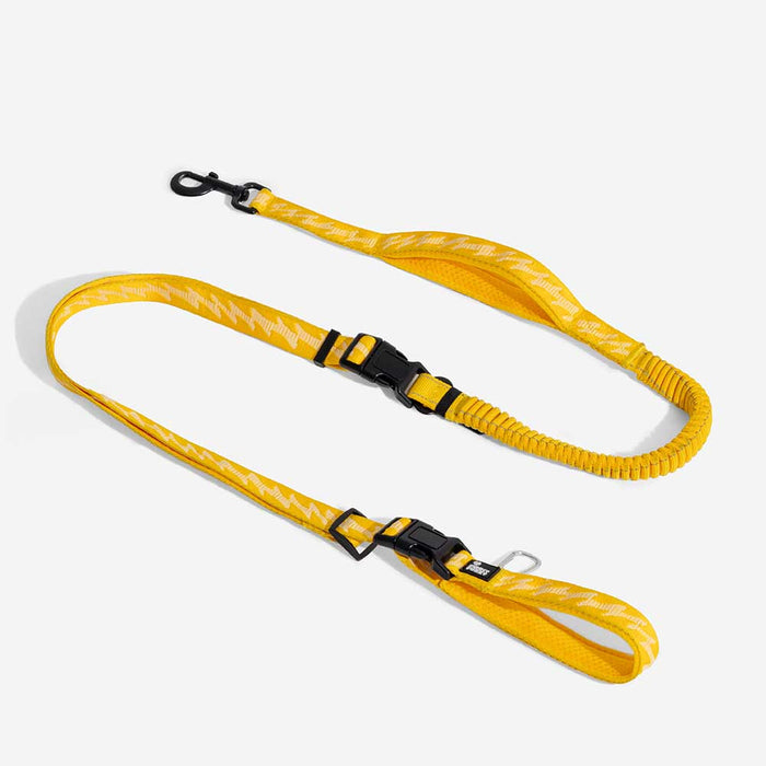 Laisse Réfléchissante Double Face pour Chien | Poignée Souple, Nylon Réglable, Grand Chien, Sécurité Nocturne