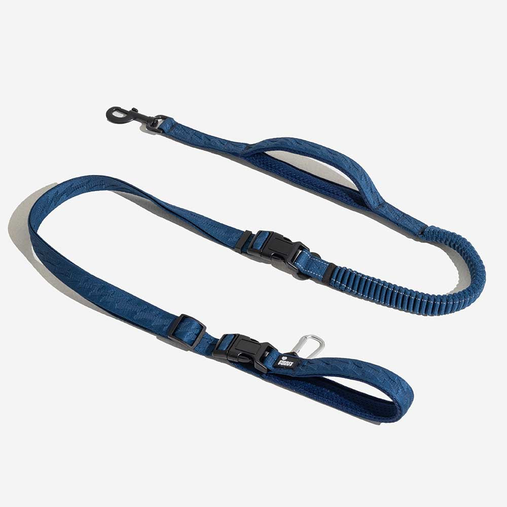 Laisse Réfléchissante Double Face pour Chien | Poignée Souple, Nylon Réglable, Grand Chien, Sécurité Nocturne