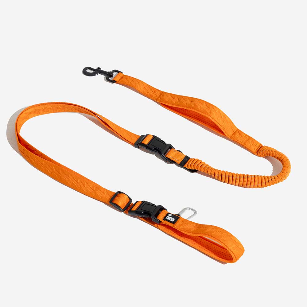 Laisse Réfléchissante Double Face pour Chien | Poignée Souple, Nylon Réglable, Grand Chien, Sécurité Nocturne