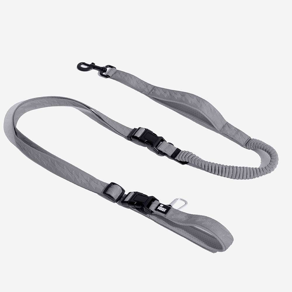 Laisse Réfléchissante Double Face pour Chien | Poignée Souple, Nylon Réglable, Grand Chien, Sécurité Nocturne