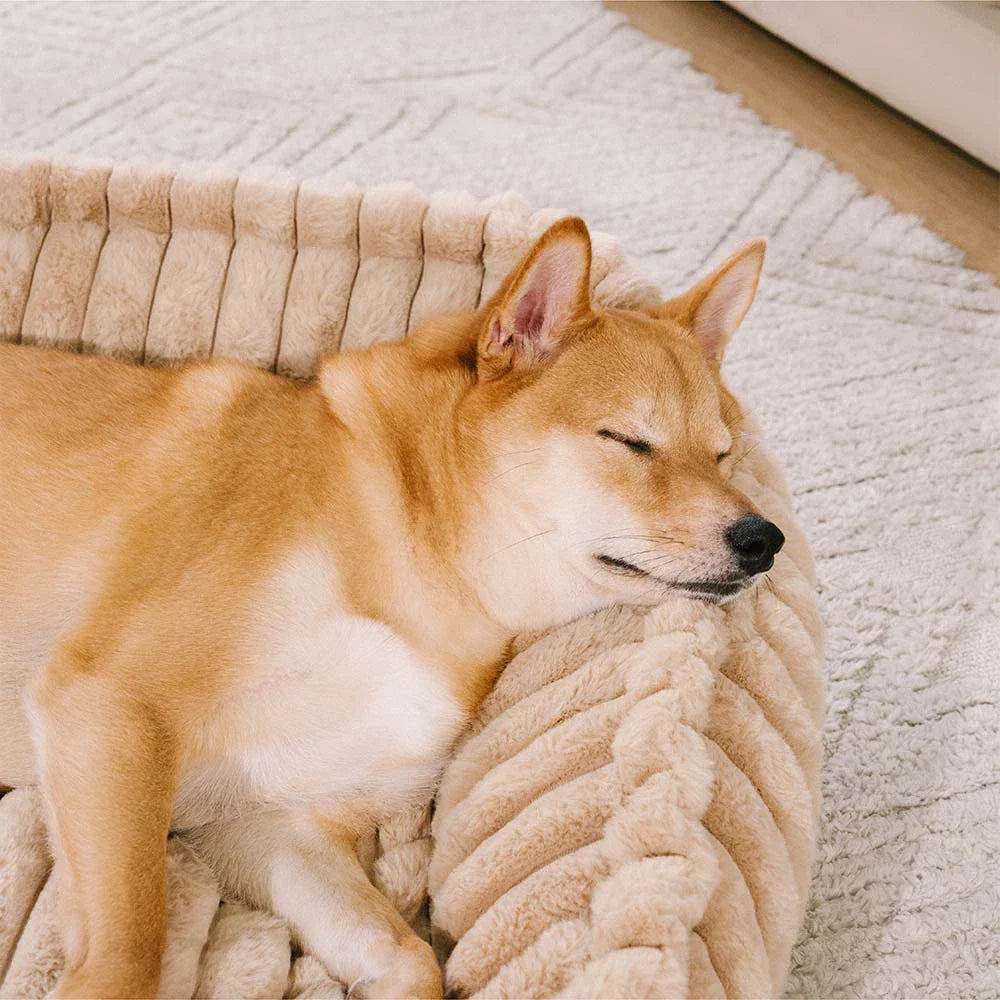 Sofa Orthopédique avec Rampe CozySlope pour Chien Senior | Fausse Fourrure, Antidérapant, Pattes Courtes