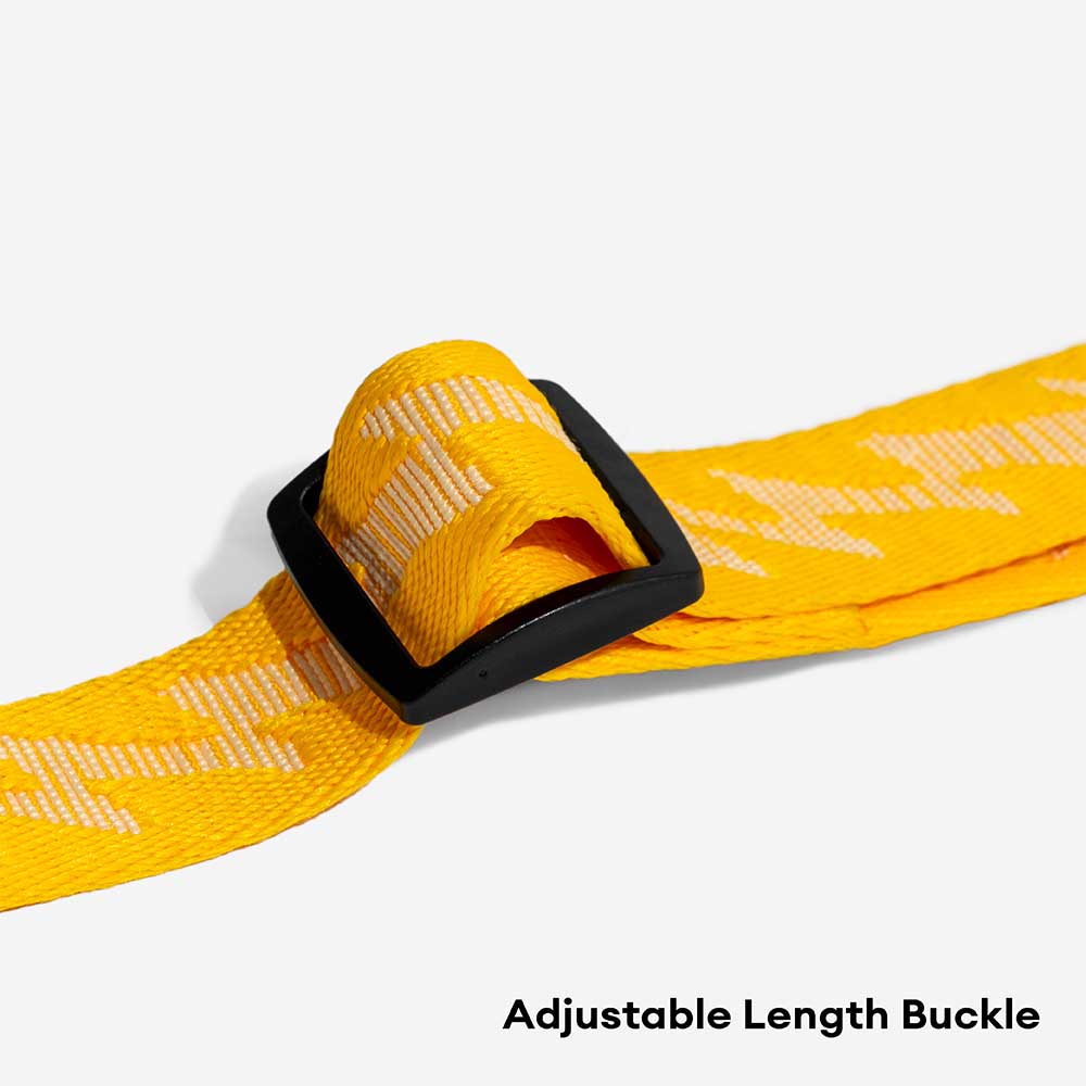 Laisse Réfléchissante Double Face pour Chien | Poignée Souple, Nylon Réglable, Grand Chien, Sécurité Nocturne