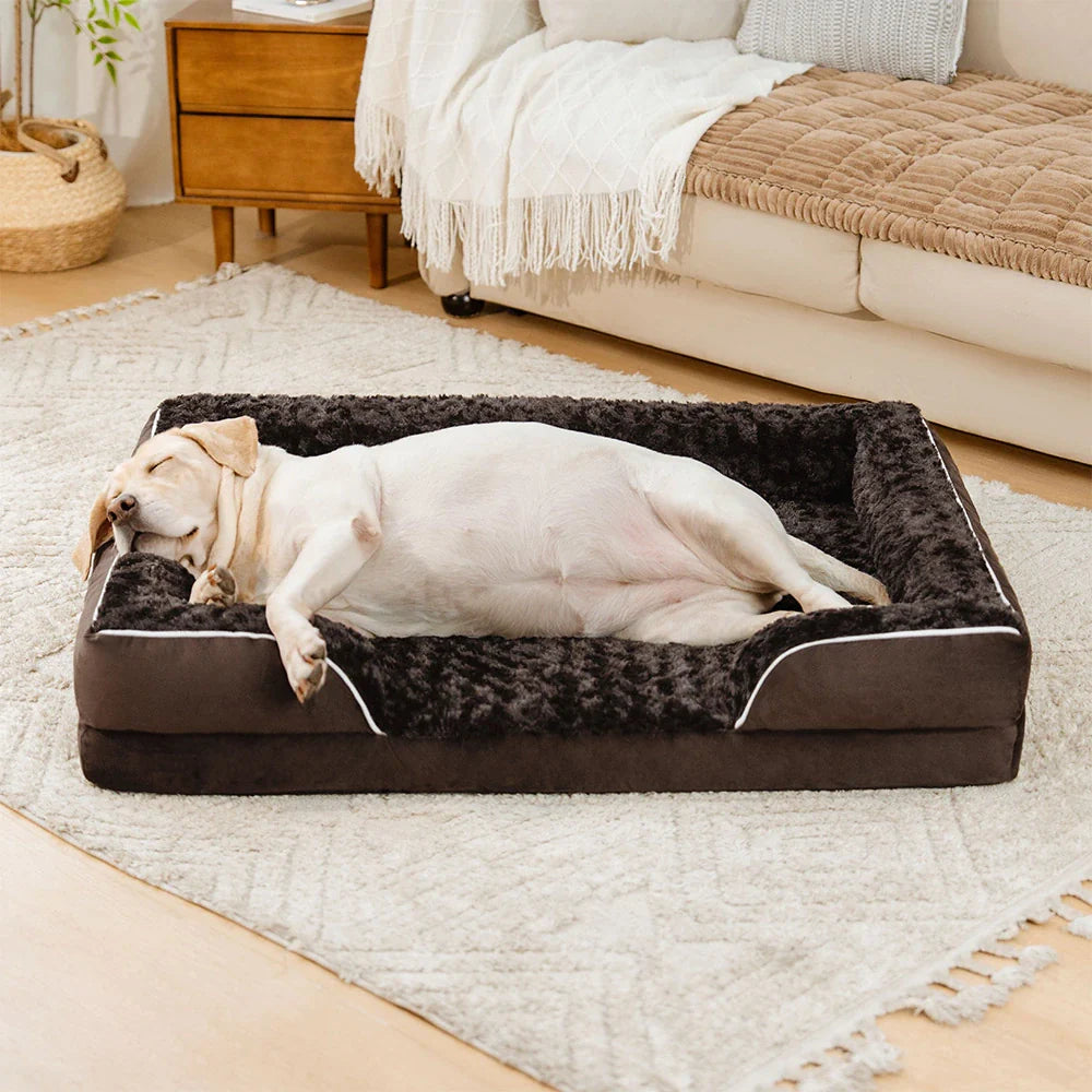 Lit Orthopédique Rebords Amovibles Déperlant pour Chien | Configurable, Soutien Articulaire, Grand Format