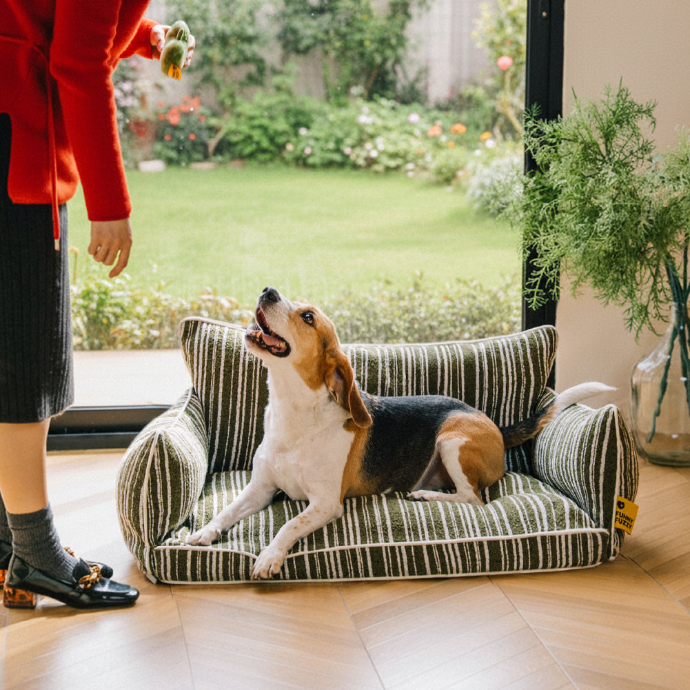 Sofa Rayé Bolster Orthopédique pour Chien | Base Gaufrée, Lavable, Antidérapant, Toutes Tailles