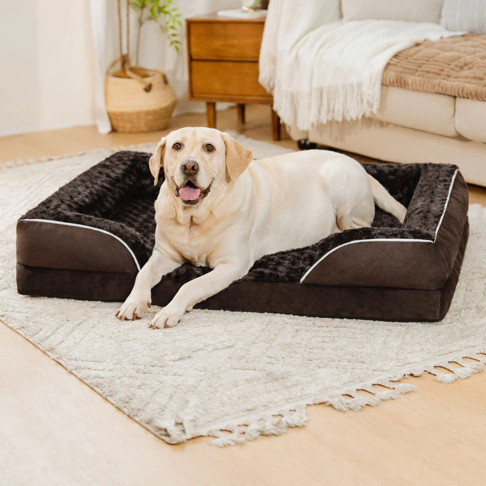 Lit Orthopédique Rebords Amovibles Déperlant pour Chien | Configurable, Soutien Articulaire, Grand Format