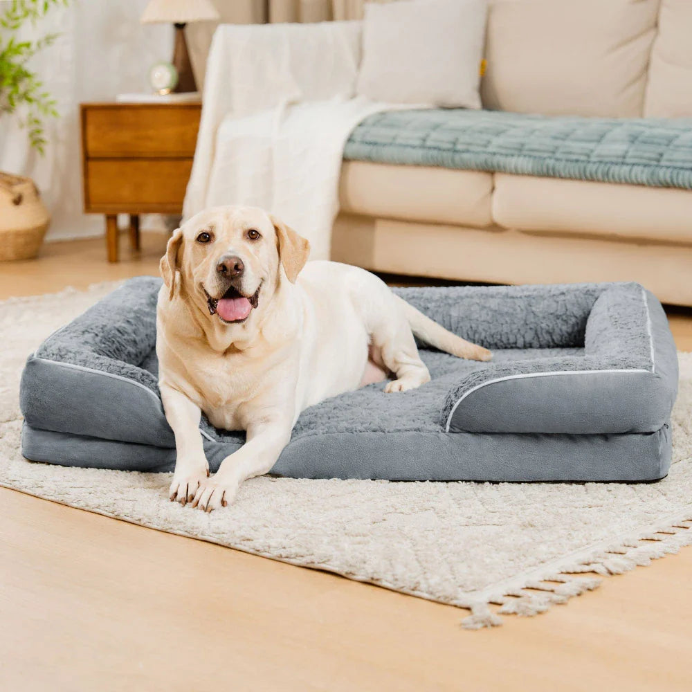 Lit Orthopédique Rebords Amovibles Déperlant pour Chien | Configurable, Soutien Articulaire, Grand Format