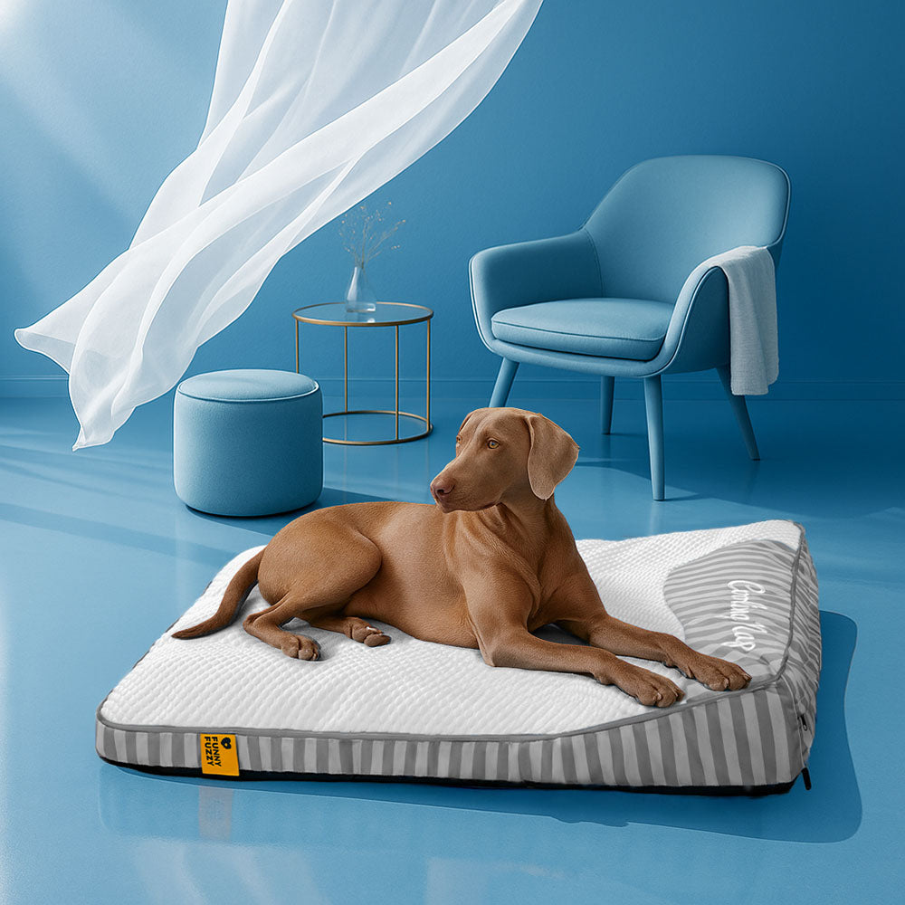Lit Orthopédique Grand Format Rafraîchissant pour Chien Senior | Appui-Tête, Respirant, Antidérapant