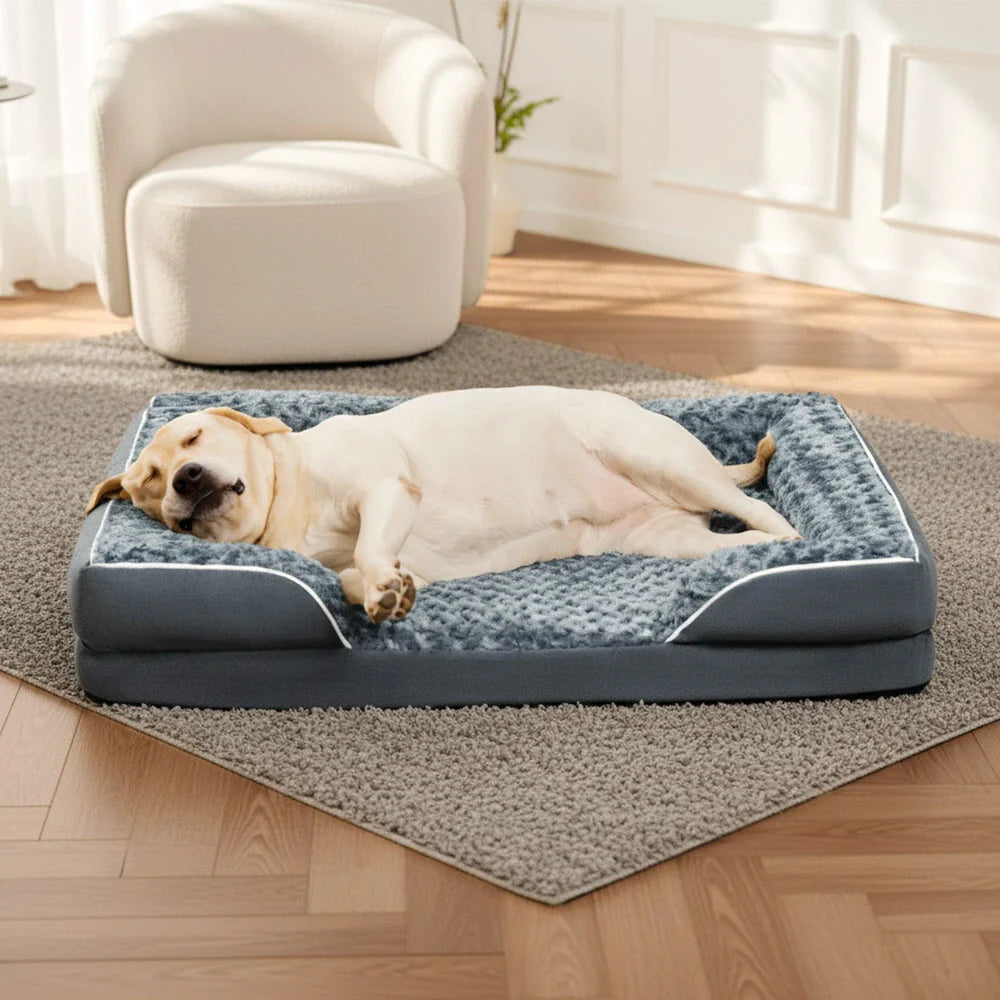 Lit Orthopédique Rebords Amovibles Déperlant pour Chien | Configurable, Soutien Articulaire, Grand Format