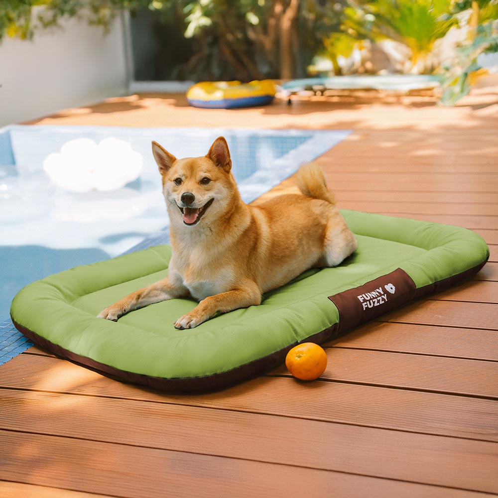 Tapis Orthopédique Résistant pour Chien | Oxford Anti-Déchirure, Réversible, Mémoire de Forme, Toutes Tailles