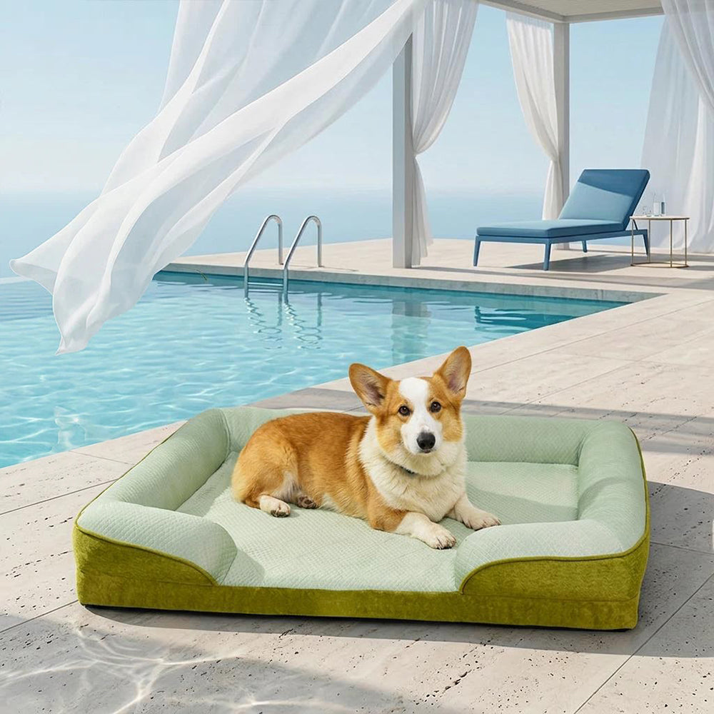 Grand Sofa Orthopédique Rafraîchissant pour Chien | Rebords Bolster, Respirant, Multi-Chiens, Lavable