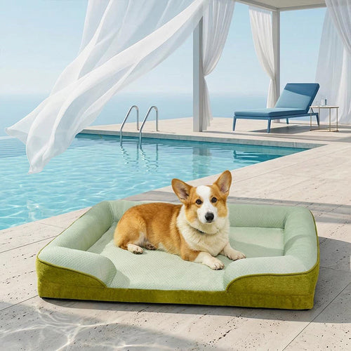Grand Sofa Orthopédique Rafraîchissant pour Chien | Rebords Bolster, Respirant, Multi-Chiens, Lavable
