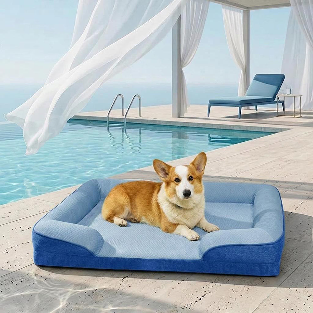 Grand Sofa Orthopédique Rafraîchissant pour Chien | Rebords Bolster, Respirant, Multi-Chiens, Lavable