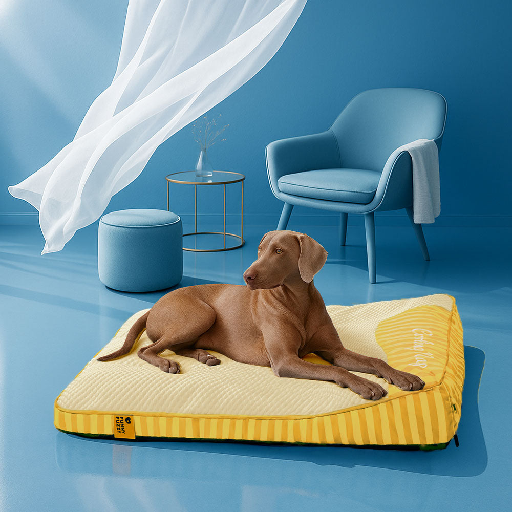 Lit Orthopédique Grand Format Rafraîchissant pour Chien Senior | Appui-Tête, Respirant, Antidérapant