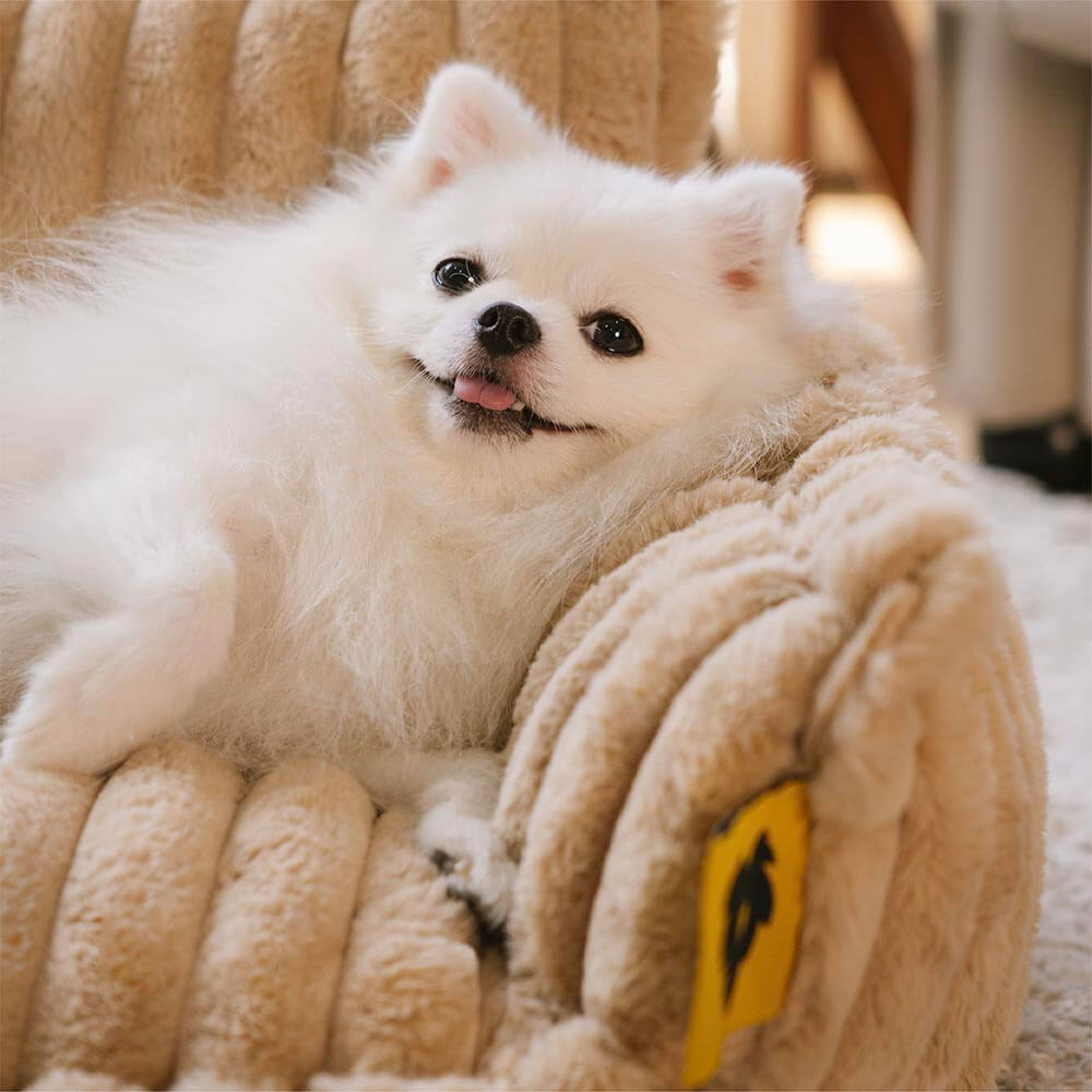 Sofa Moelleux Double Accoudoir pour Chien | Fausse Fourrure, Soutien Articulaire, 8 Coloris
