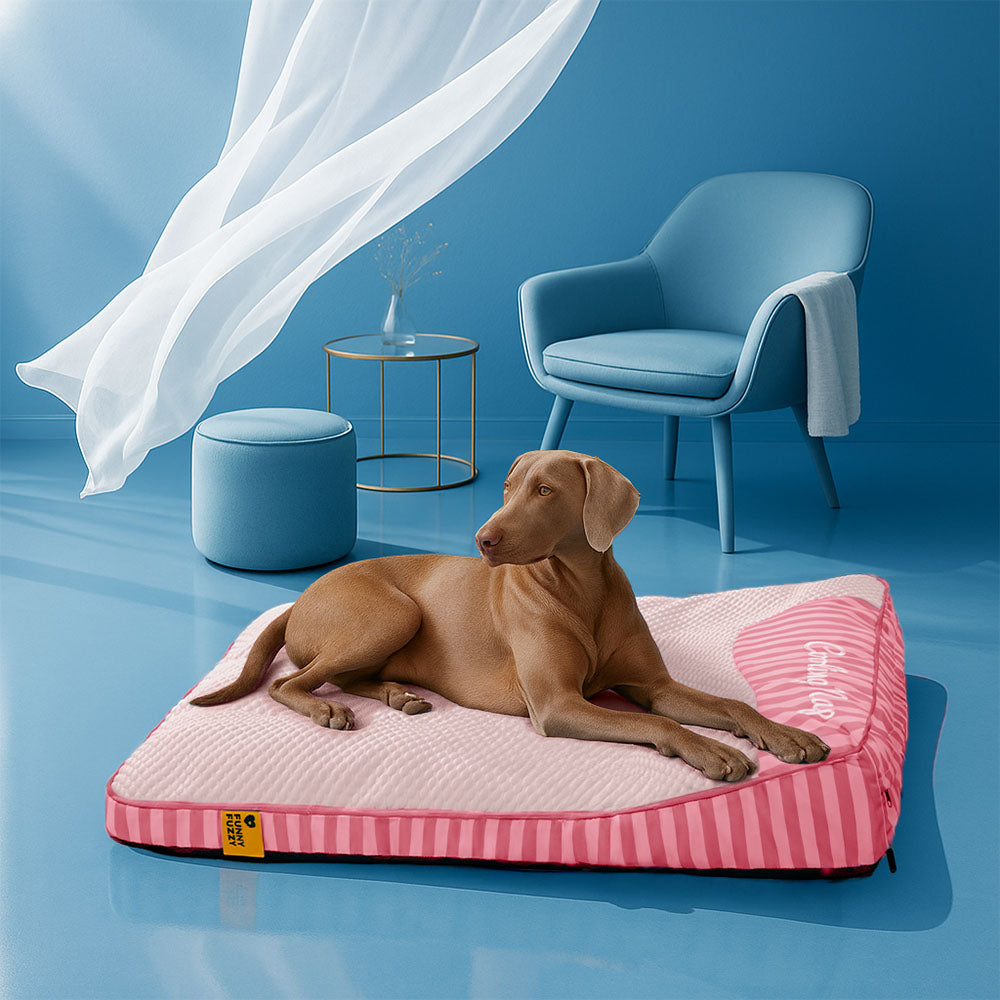 Lit Orthopédique Grand Format Rafraîchissant pour Chien Senior | Appui-Tête, Respirant, Antidérapant