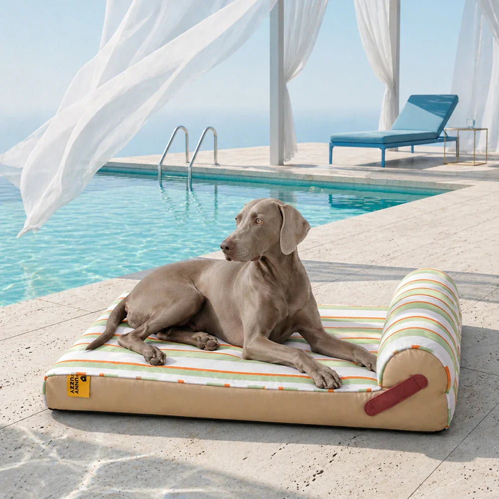 Lit Orthopédique Rafraîchissant pour Chien | Effet Cool-Touch, Mousse de Soutien, Lavable, Toutes Tailles