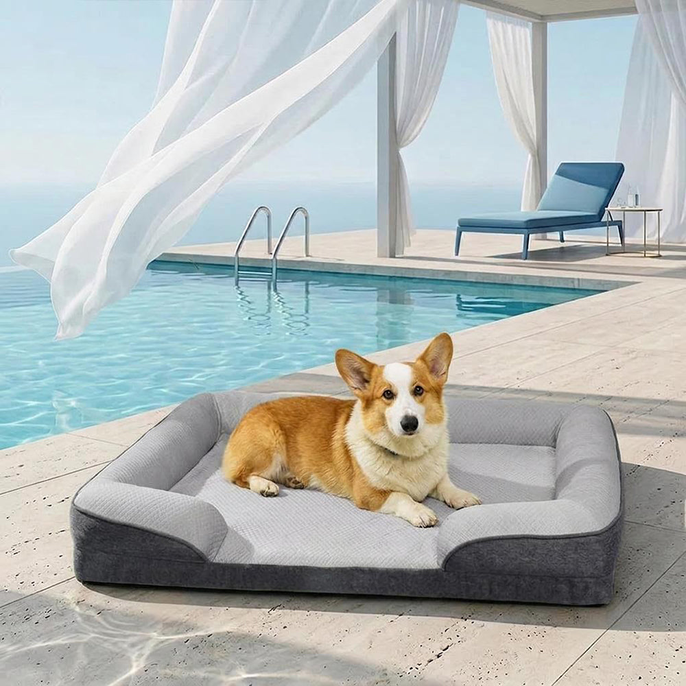 Grand Sofa Orthopédique Rafraîchissant pour Chien | Rebords Bolster, Respirant, Multi-Chiens, Lavable