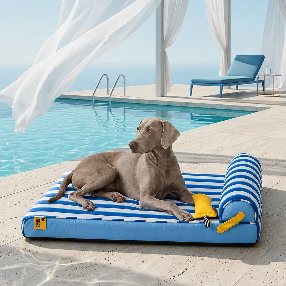 Lit Orthopédique Rafraîchissant pour Chien | Effet Cool-Touch, Mousse de Soutien, Lavable, Toutes Tailles