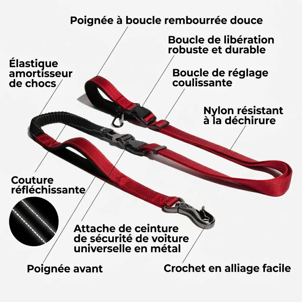 Laisse Multifonction 6-en-1 Mains Libres | Ceinture Sécurité Voiture, Amortisseur, Réfléchissante, Course & Rando