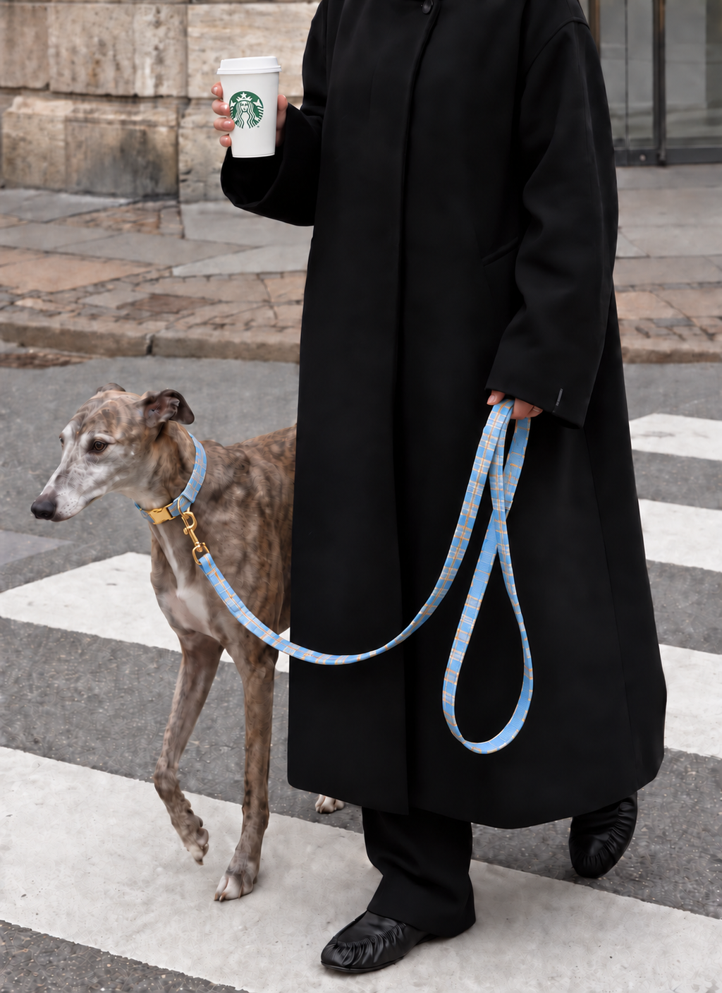 Laisse pour Chien Chelsea Carreaux Bleu Ciel | 1,50 m, Assortie Collier & Harnais