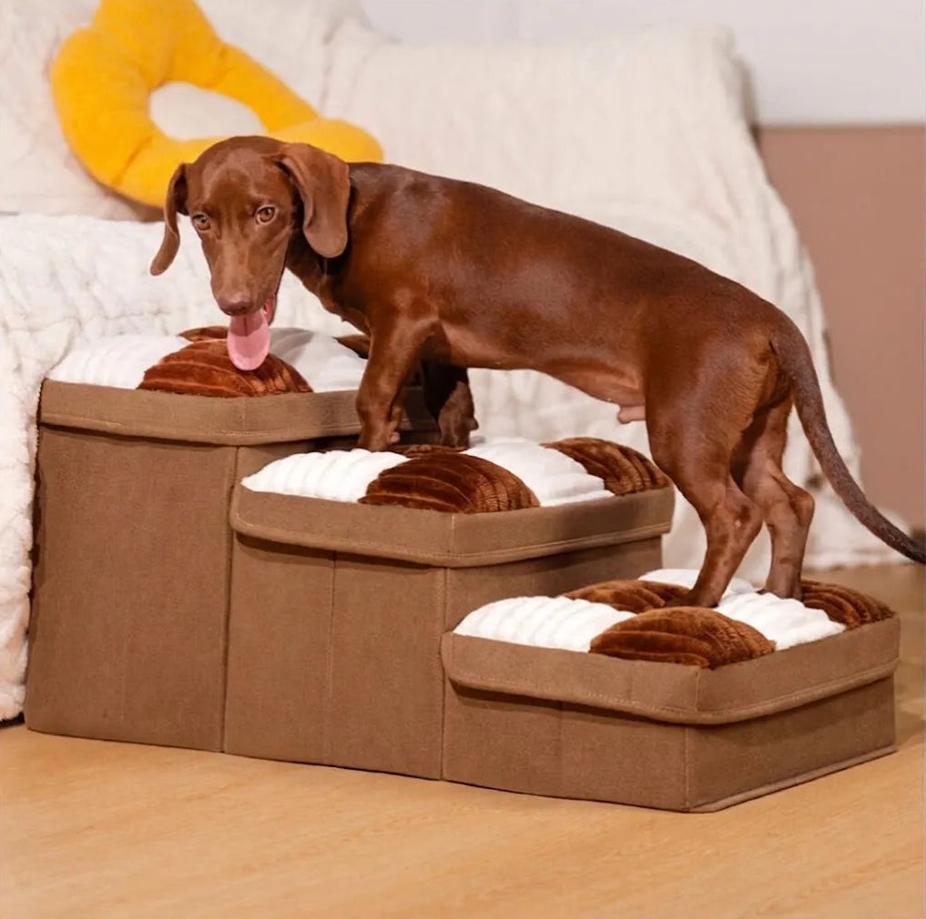 Escalier pour chien plié, format compact pour le rangement