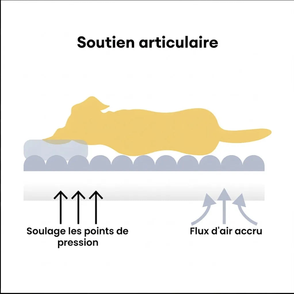 Sofa Moelleux Double Accoudoir pour Chien | Fausse Fourrure, Soutien Articulaire, 8 Coloris