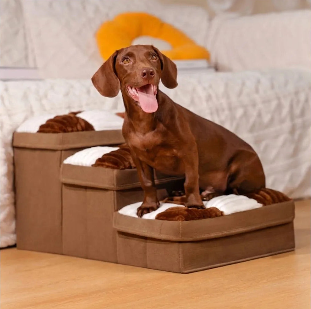 Escalier orthopédique pour chien, vue d'ensemble avec rangement intégré