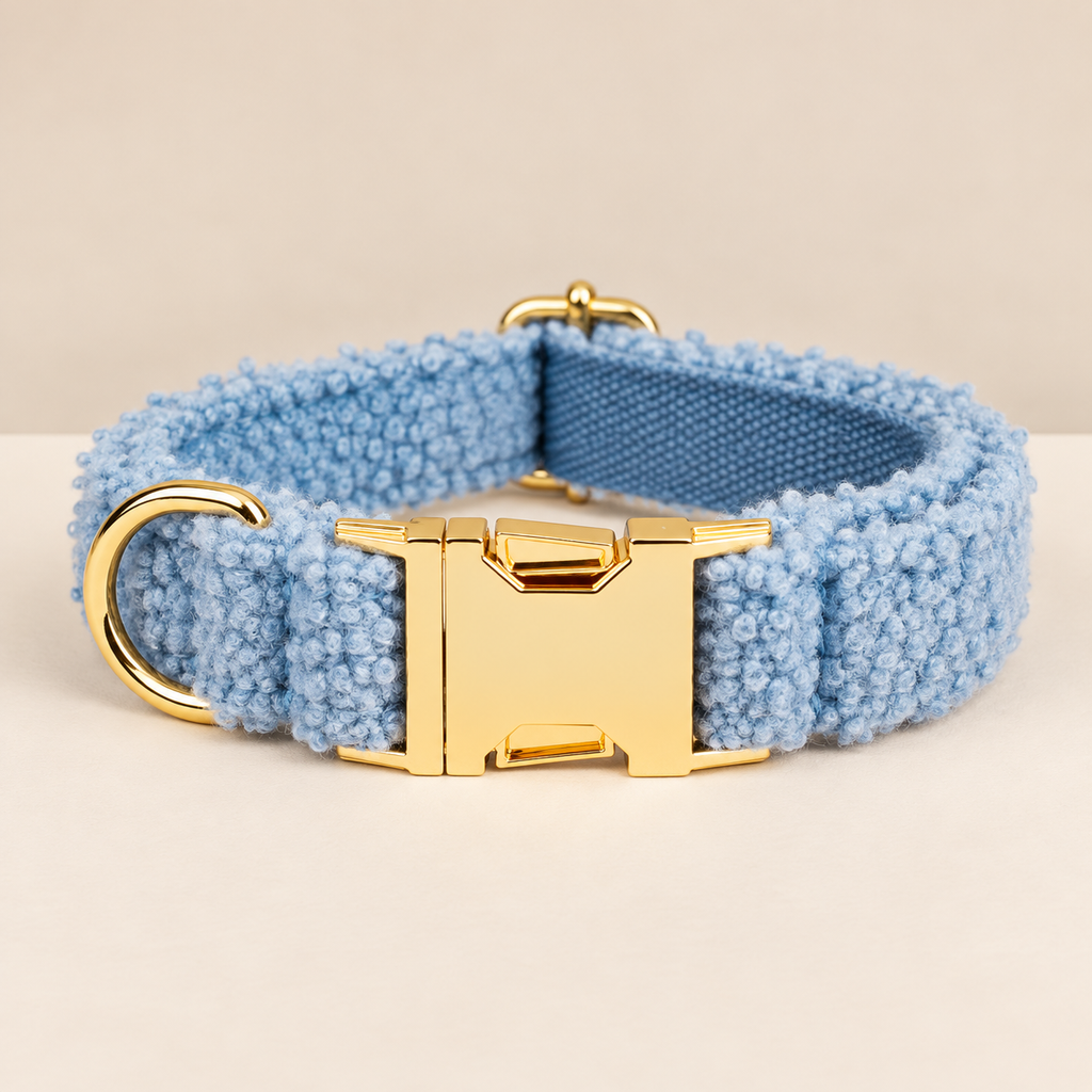 Collier pour Chien Teddy Bleu | Réglable XS à XL, Assorti Laisse & Harnais