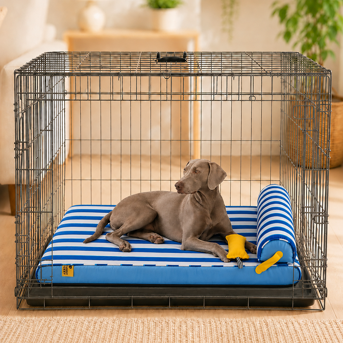 Lit Orthopédique Rafraîchissant pour Chien | Effet Cool-Touch, Mousse de Soutien, Lavable, Toutes Tailles