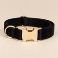 Collier pour Chien Velvet Noir | Réglable XS à XL, Assorti Laisse & Harnais