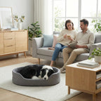 chien couche dans un panier confortable dans un salon