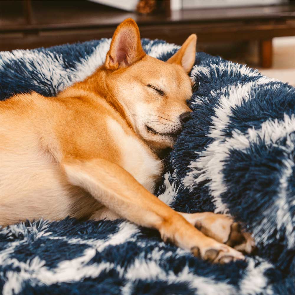 Sofa Écossais Bolster Orthopédique pour Chien | Fausse Fourrure, Chaud, Soutien Articulaire