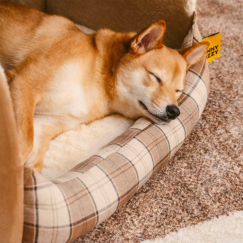 Cabane Écossaise Orthopédique pour Chien | Arche Rembourrée, Chaude, Lavable, Cocon Sécurisant