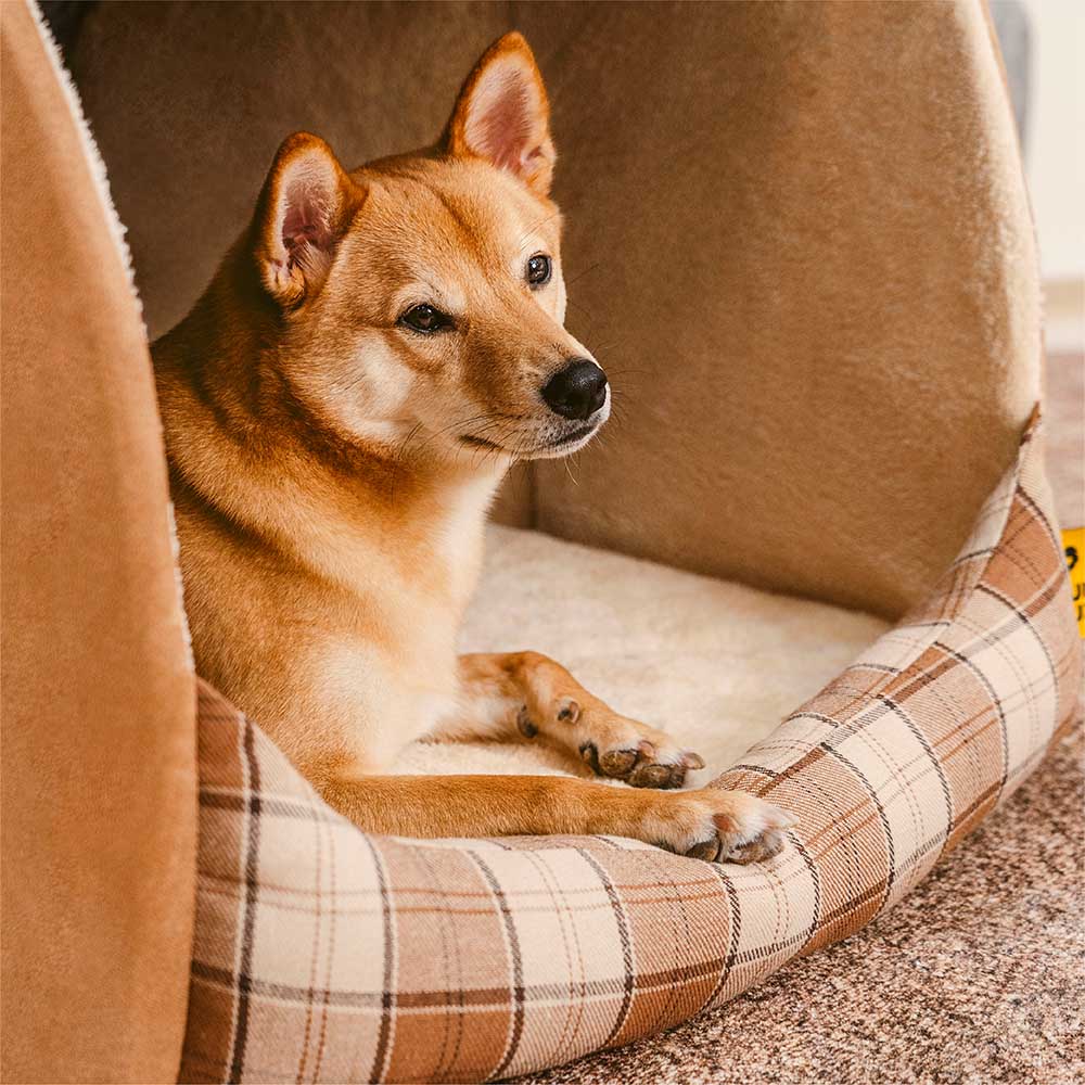 Cabane Écossaise Orthopédique pour Chien | Arche Rembourrée, Chaude, Lavable, Cocon Sécurisant