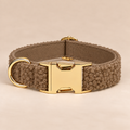 Collier pour Chien Teddy Café | Réglable XS à XL, Assorti Laisse & Harnais