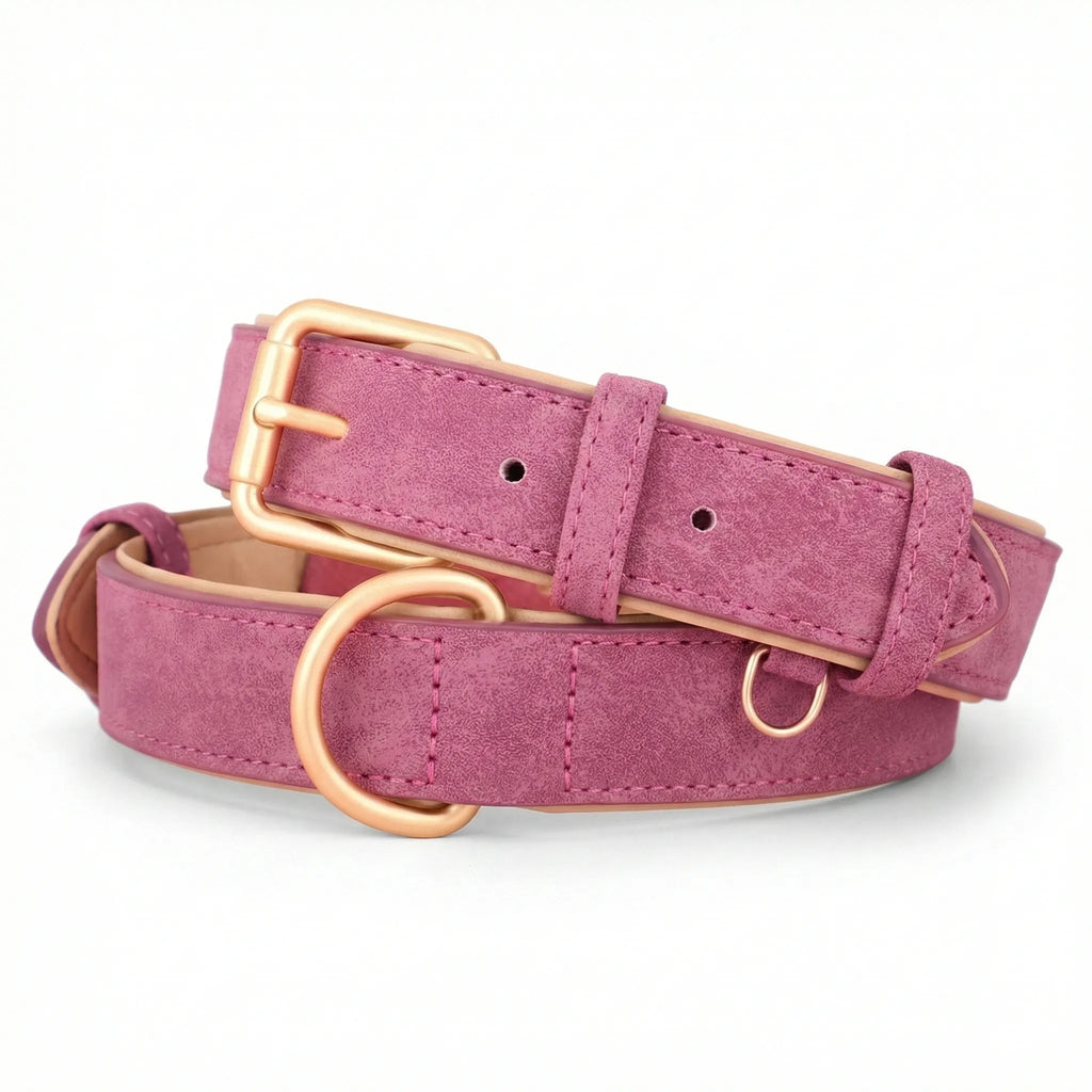 collier pour chien avec plusieurs niveaux de reglage et boucle