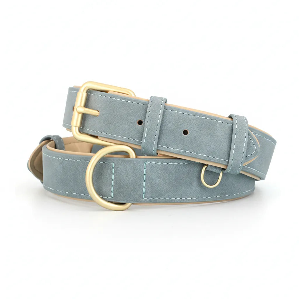 collier pour chien equipe d’une boucle metallique et passants fixes