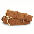 collier pour chien reglable avec trous de taille et boucle solide