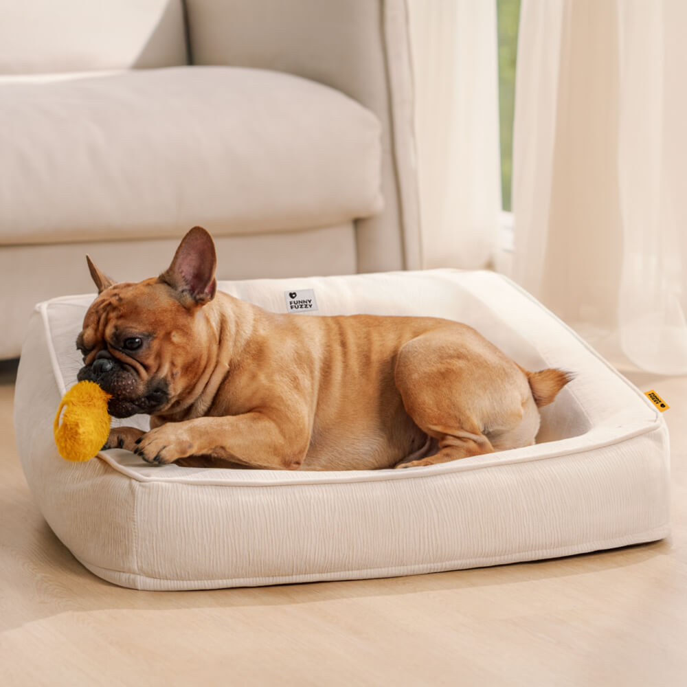 Sofa Orthopédique avec Coussins pour Chien | Mousse Haute Densité, Antidérapant, Seniors & Arthrose