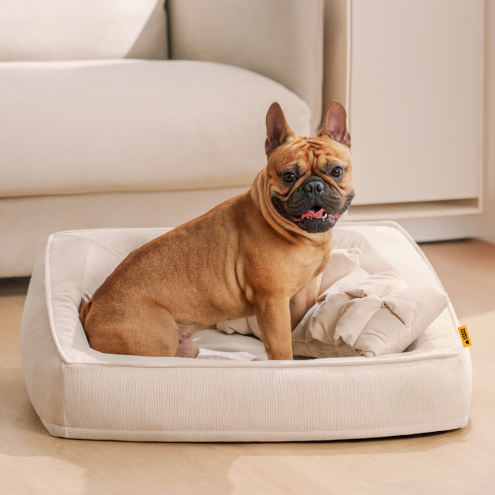 Sofa Orthopédique avec Coussins pour Chien | Mousse Haute Densité, Antidérapant, Seniors & Arthrose