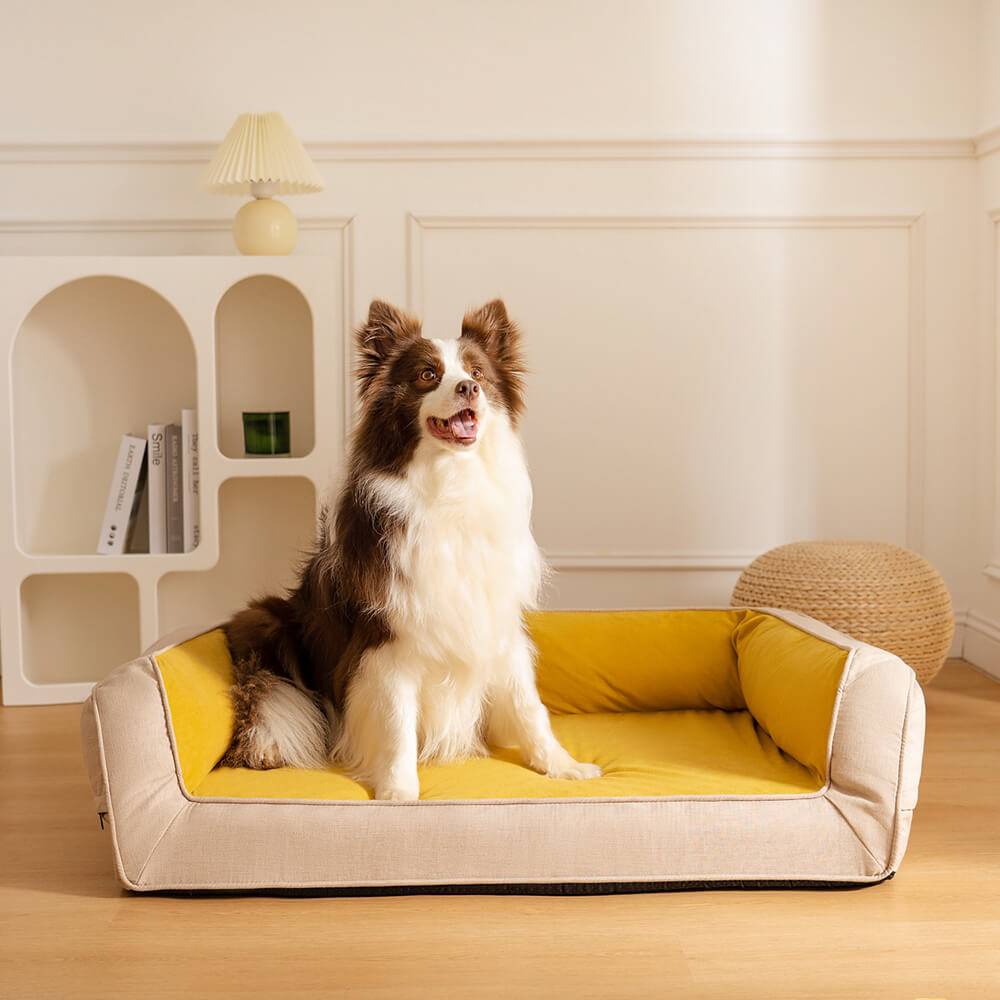 Sofa Lounge Orthopédique Complet pour Chien | Coussins Moelleux, Polaire, Antidérapant