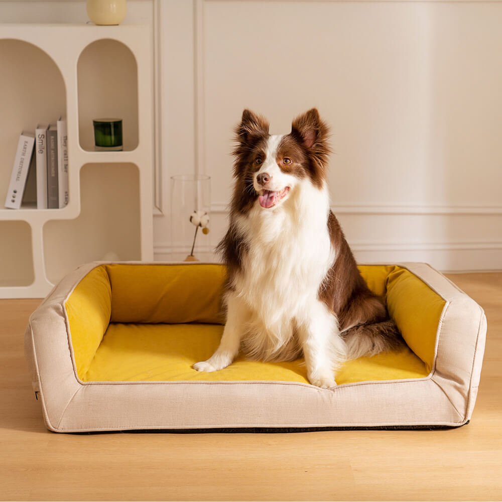 Sofa Lounge Orthopédique Complet pour Chien | Coussins Moelleux, Polaire, Antidérapant