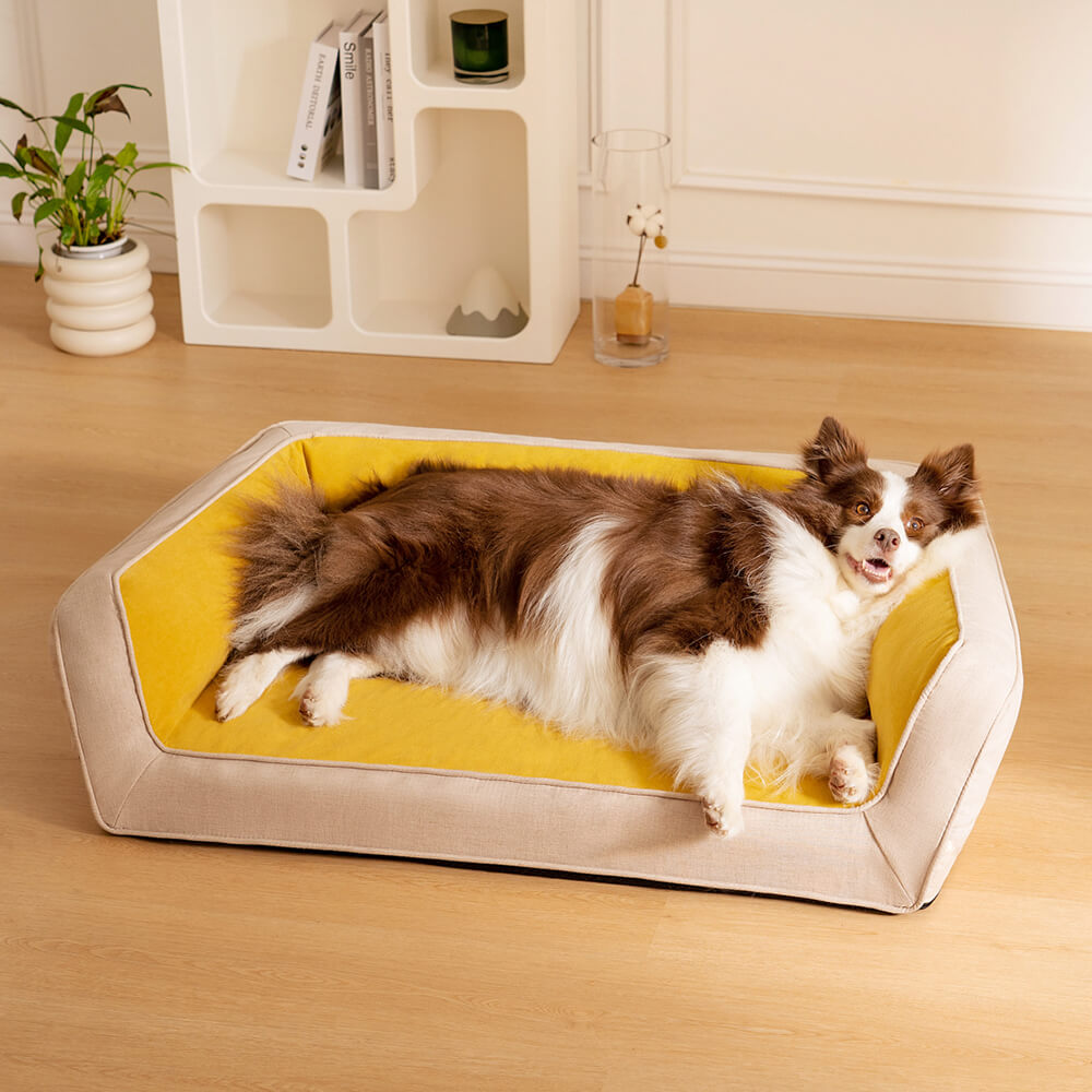 Sofa Lounge Orthopédique Complet pour Chien | Coussins Moelleux, Polaire, Antidérapant